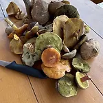 Сasa de vacaciones Czapla I Zuraw