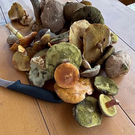 Feriehus Czapla I Zuraw