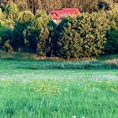 Czapla I Zuraw Prázdninový dům Sterlawki Male